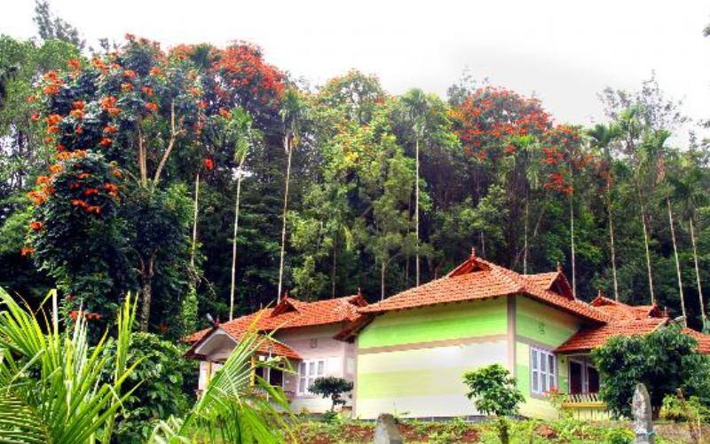 Coffea Aroma Resorts, Wayanad 5